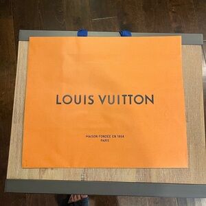 Louis Vuitton medium bag